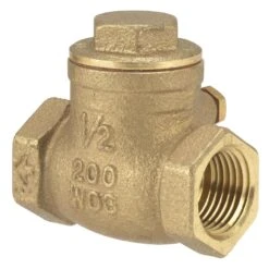 Homewerks 2 In. D X 2 In. D FIP Brass Swing Check Valve -ACE Shop 029a407a 3578 46b1 9fea b7aacdbee002