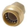 SharkBite 1 In. Push Brass End Stop -ACE Shop 0c2911d0 a646 41ba b816 dc2b5a2ae5fa