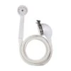 Danco White Plastic 1 Settings Handheld Showerhead 2.2 Gpm -ACE Shop 0cfe7fb1 0a25 484a b492 53e3aaa88da5