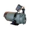Star Water Systems 3/4 HP 1020 Gph Cast Iron Convertible Jet Well Pump -ACE Shop 11275b6c 2402 4a5e a1d7 7f36d49f4f3a