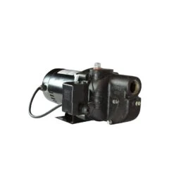 Wayne 3/4 HP 750 Gph Cast Iron Shallow Jet Well Pump -ACE Shop 14dbf79d 1e81 4e27 8470 f30ba1673706