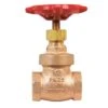 B&K ProLine 1/2 In. FIP Brass Gate Valve -ACE Shop 16726f1b ae1e 41ac bb68 7a5f4db1fe3e