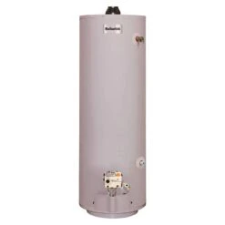 Reliance 30 Gal 30000 BTU Natural Gas/Propane Mobile Home Water Heater
