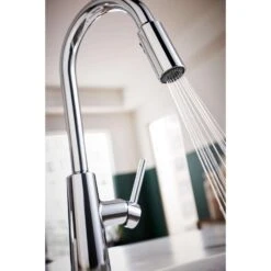 Moen Nori One Handle Chrome Pull-Down Kitchen Faucet -ACE Shop 1a1e4f62 5e11 40c8 8d0b 9bf3e03a6f70