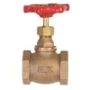 B&K ProLine 1-1/4 In. FIP Brass Globe Valve -ACE Shop 1a7b42e8 cd96 4802 8837 53775a71581d