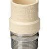 Homewerks Schedule 40 1 In. Slip X 1 In. D MPT CPVC Transition Adapter -ACE Shop 1d0eb76b c7e6 44e6 a977 94fe7e321a84