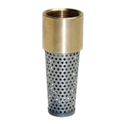 Water Source Brass 2 In. Foot Valve