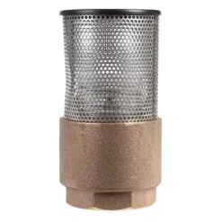 Campbell Flomatic 2 In. D X 2 In. D Stainless Steel Spring Loaded Check Valve