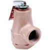 Watts 3/4 In. FNPT Brass Water Pressure Relief Valve 3/4 In. FNPT 1 Pk -ACE Shop 43e159e3 a6c6 4479 9fde c633db2663c1