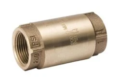Mueller ProLine 1/2 In. D X 1/2 In. D Brass Spring Loaded Check Valve