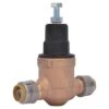 Cash Acme Push To Connect Bronze Pressure Regulator Valve -ACE Shop 4cb2d7eb 485d 4bc8 b8f8 1f5dccaa4c46