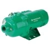 Myers HR Series 1/2 HP 690 Gph Cast Iron Shallow Jet Well Pump -ACE Shop 4e8b6c12 08bb 4638 a3da d19f2707f5dc