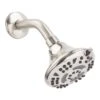 OakBrook Brushed Nickel PVC 5 Settings Wallmount Showerhead 1.8 Gpm -ACE Shop 4f746be1 3fbf 428a 9772 abbb13d33098