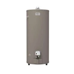 Reliance 74 Gal 75100 BTU Natural Gas Water Heater