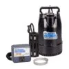 The Basement Watchdog 1/3 HP 3,720 Gph Cast Iron Dual Reed Switch AC Submersible Sump Pump -ACE Shop 52b7f96e 4e60 4e19 9ea7 7755c9306b9c
