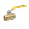 B&K ProLine 1 In. Brass FIP Ball Valve Full Port -ACE Shop 5ea0ab3a fb22 47c7 aaf0 144b31488cd4