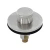 Danco 2 In. Brushed Nickel Brass Lift Plug And Drain -ACE Shop 5f445ab3 f70e 40fd 8f24 02a145c81bbb