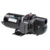Wayne 3/4 HP 750 Gph Cast Iron Shallow Jet Well Pump -ACE Shop 5f9b34a1 24c0 434d 94ac 1fdccdf3a582