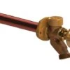 Woodford 1/2 In. MIP Sweat Anti-Siphon Brass Freezeless Wall Faucet -ACE Shop 67b14da9 464f 4a51 aaff 63dc10fff68a