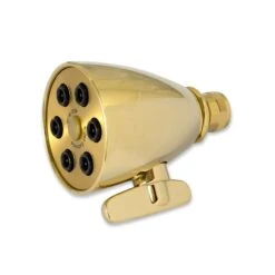 Whedon Flow Pro Polished Brass Adjustable Settings Showerhead 2.5 Gpm