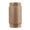 Campbell Flomatic 3/4 In. D X 3/4 In. D Red Brass Spring Loaded Check Valve -ACE Shop 6b1b813f 9e7d 4293 8f05 a4b2475e2fac