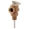 Cash Acme Temperature And Pressure Relief Valve -ACE Shop 6c800c72 6882 4f4b 82ca 7cb2468b64f0