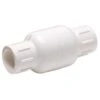 Homewerks 1 In. D X 1 In. D Solvent PVC Spring Loaded Check Valve -ACE Shop 85943d8f a536 4eaf 8663 be90ea6340c4