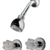 Pfister 2-Handle Polished Chrome Tub And Shower Faucet -ACE Shop 8b68c11a 82a6 4c53 95dd d897632519a2