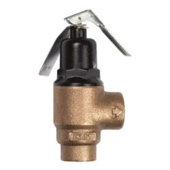 Cash Acme 3/4 In. Bronze Pressure Relief Valve