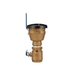 Zurn 2 In. FIP X 2 In. FIP Bronze Pressure Vacuum Breaker Assembly -ACE Shop 94825854 1e08 4446 8608 16bd94aa3d2f