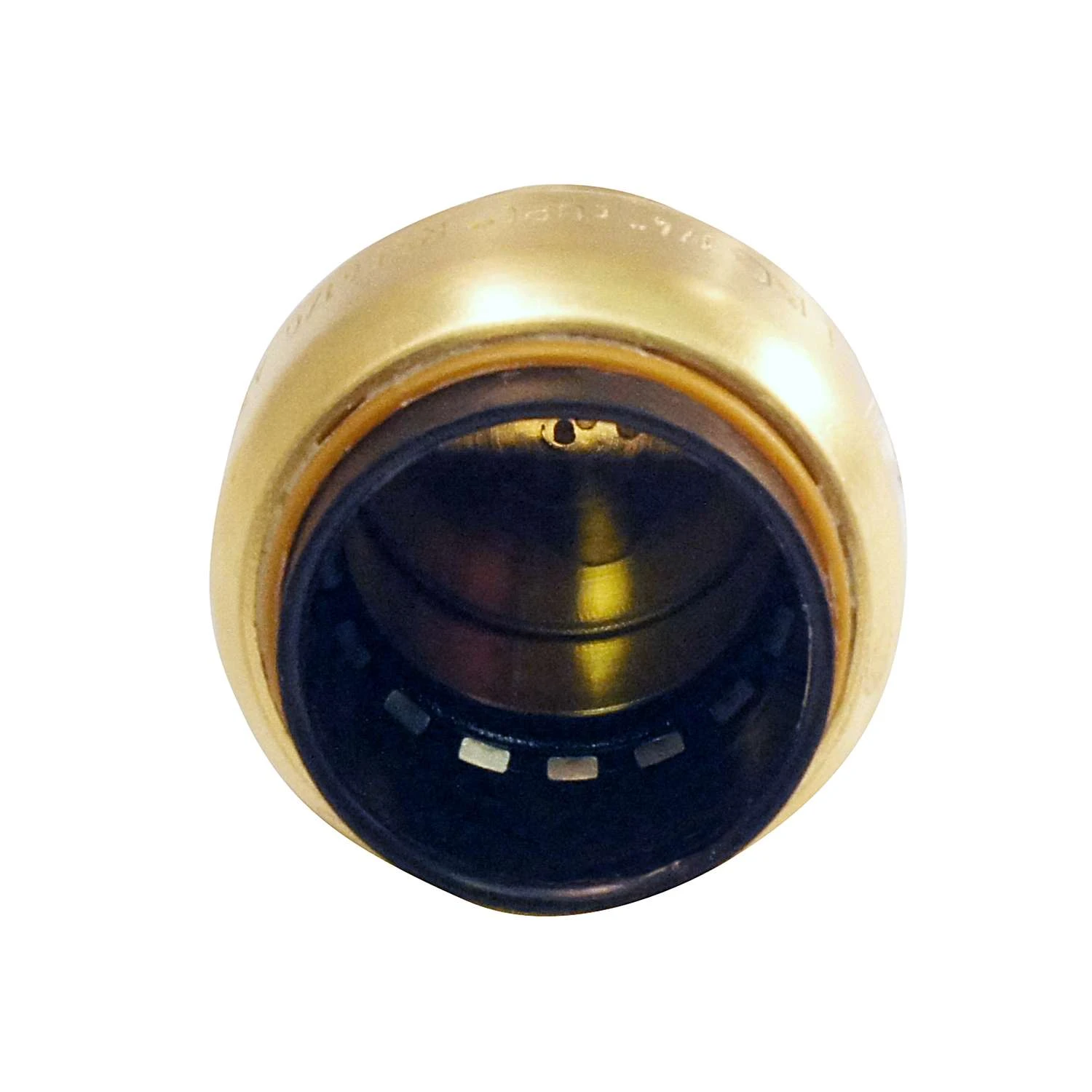 Apollo® Apollo Tectite Push To Connect 3/4 In. PTC In To Brass Cap 2 Apollo® Apollo Tectite Push To Connect 3/4 In. PTC In To Brass Cap - Image 2