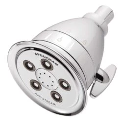 Speakman Anystream Polished Chrome 3 Settings Showerhead 2 Gpm