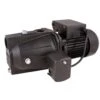 Star Water Systems 1/2 HP 528 Gph Cast Iron Shallow Jet Well Pump -ACE Shop 9cd6a6a6 34bb 4c81 ba2a fa0de42541d8
