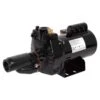 Pump Works 3/4 HP 8 Gph Cast Iron Convertible Jet Pump -ACE Shop a371d668 1176 492a afa5 67b34a9b33ac