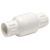Homewerks 1-1/2 In. D X 1-1/2 In. D Solvent PVC Spring Loaded Check Valve -ACE Shop a39a5701 cf75 4b9e 9927 78ef841efa6d