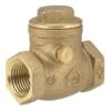 Homewerks 1-1/4 In. D X 1-1/4 In. D FIP Brass Swing Check Valve 11 Homewerks 1-1/4 In. D X 1-1/4 In. D FIP Brass Swing Check Valve -ACE Shop aadc804d 4e82 446d a53d 739ace9a012b