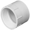 Charlotte Pipe Schedule 40 8 In. FPT X 8 In. D Hub PVC Female Adapter 1 Pk -ACE Shop b26832cb 44f5 467a ac1f 38de2e33cb80
