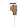 Cash Acme MNPT Bronze Temperature And Pressure Relief Valve FNPT -ACE Shop b30c4906 cd8e 498b 9444 a7aabd3bed3f