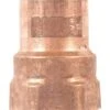 NIBCO 1 In. Copper X 1 In. D FTP Copper Pipe Adapter 1 Pk 3 NIBCO 1 In. Copper X 1 In. D FTP Copper Pipe Adapter 1 Pk -ACE Shop b72c4ea0 a9d3 40cb 993d 28ecfb337fe5