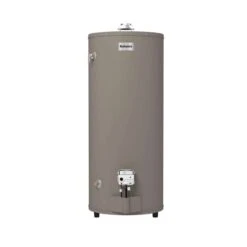 Reliance 74 Gal 75,100 BTU Propane Water Heater