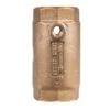 Campbell Flomatic 1-1/4 In. D X 1-1/4 In. D FNPT X FNPT Red Brass Spring Loaded Check Valve -ACE Shop c0bea440 8dc1 45ff a88c f2133eb4d0b0