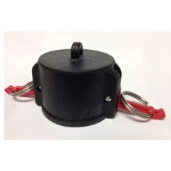 Pacer Camelot 2 In. Dust Cap