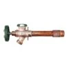 Arrowhead Brass 1/2 In. FIP X 3/4 In. MIP Anti-Siphon Brass Frost-Free Hydrant -ACE Shop c73e5682 049a 4a10 9aa3 7c63e2ba1f6d