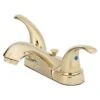 OakBrook Brass Two-Handle Bathroom Sink Faucet 4 In. -ACE Shop cbc10d7f 5a2f 4e7b b184 6182f4e31674