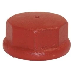 Water Source Well Point Cast Iron 2 In. Drive Cap