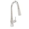 Huntington Brass Ellery One Handle Chrome Pull-Down Kitchen Faucet -ACE Shop cddc66fc a9e3 45bf 8a1b 2a5ac77373ed