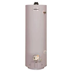 Reliance 40 Gal 32000 BTU Natural Gas/Propane Mobile Home Water Heater