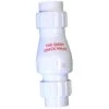 Campbell Quiet 1-1/2 In. D X 1-1/2 In. D Plastic Spring Loaded Check Valve -ACE Shop daf5a234 1549 477f 9a5f adb30dee95e5