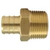 Apollo® Apollo 3/4 In. PEX Barb In To X 3/4 In. D MPT Brass Adapter -ACE Shop dd2d5785 3ec4 47ca 9806 848f9d18e7f1