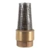 Campbell 1-1/4 In. D X 1-1/4 In. D FNPT X FNPT Brass Foot Valve -ACE Shop e63a591c bb8b 4130 8046 ff94b2a1560e